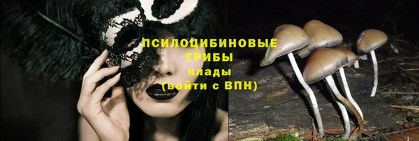 молекула духа Нея