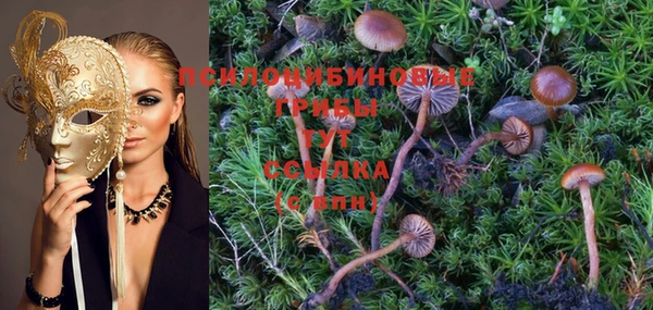 прущие грибы Нефтегорск