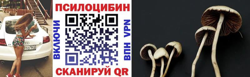 Купить где  Ясный  Псилоцибиновые грибы GOLDEN TEACHER 